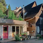 Haus Der Malerin Andrea Gawaz Appartement Mullheim (Baden-Wurttemberg)