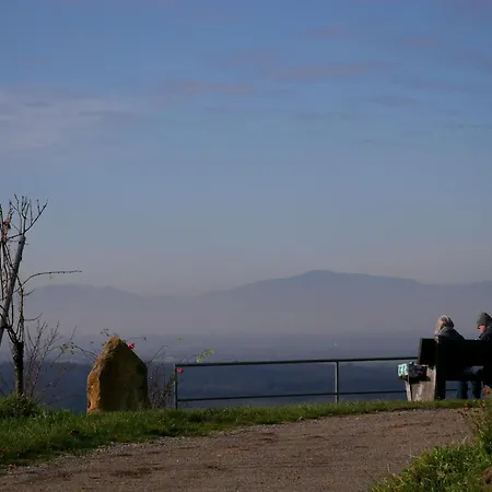 Haus Der Malerin Andrea Gawaz Appartamento