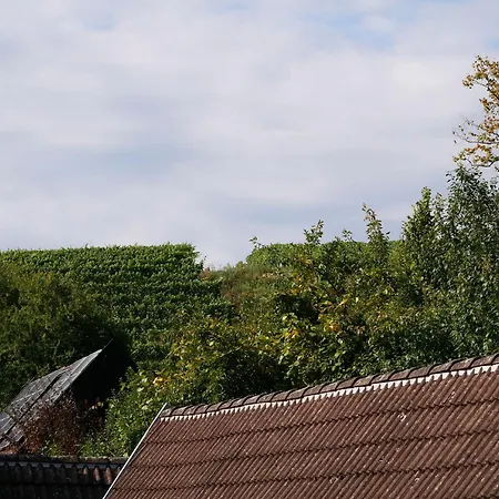 Haus Der Malerin Andrea Gawaz