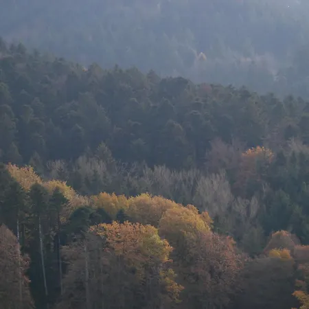 Haus Der Malerin Andrea Gawaz Appartamento Mullheim (Baden-Wurttemberg)