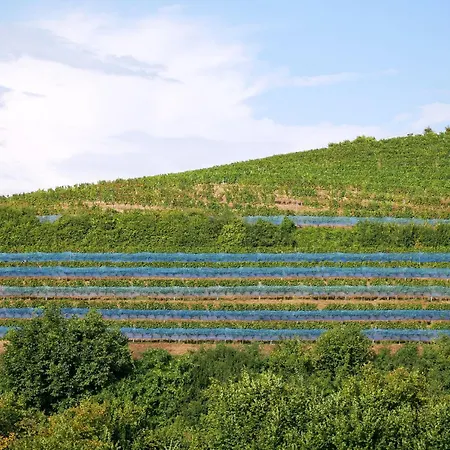 Haus Der Malerin Andrea Gawaz Appartamento Mullheim (Baden-Wurttemberg)