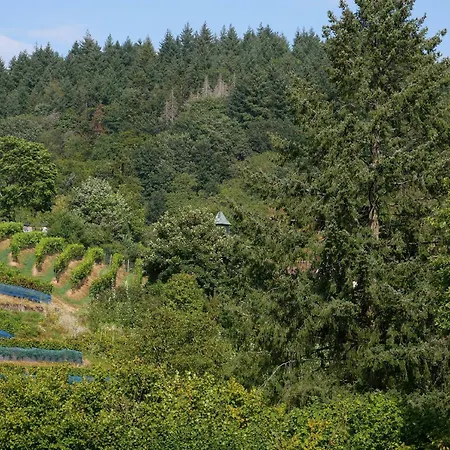 Appartamento Haus Der Malerin Andrea Gawaz