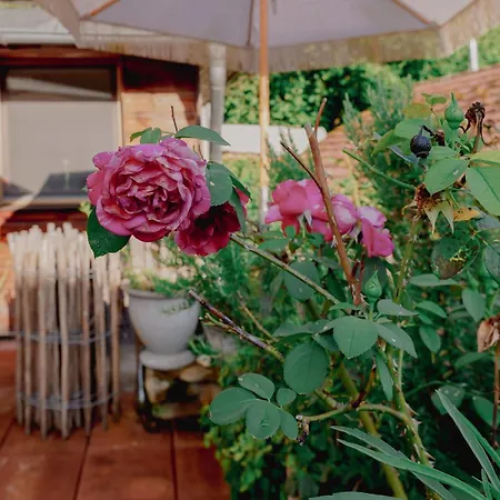 Haus Der Malerin Andrea Gawaz Appartamento Mullheim (Baden-Wurttemberg)