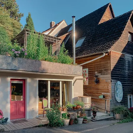 Haus Der Malerin Andrea Gawaz Appartamento *